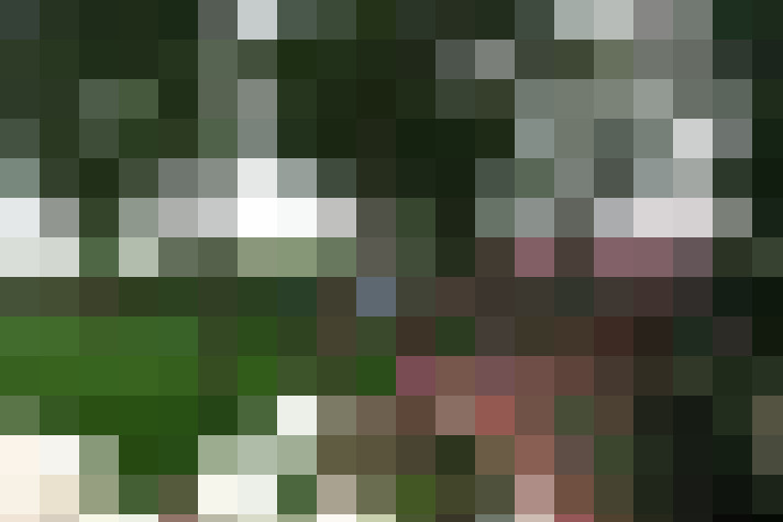  / #17