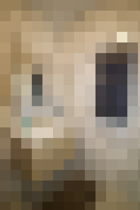  / #8