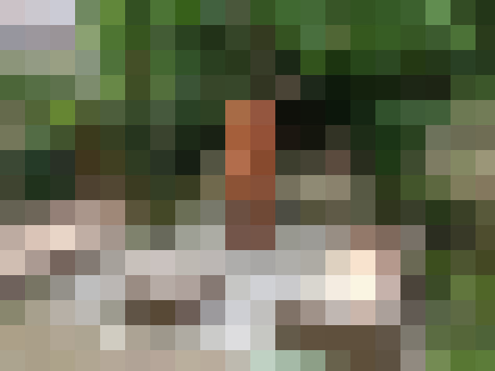  / #22