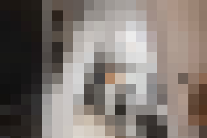  / #26