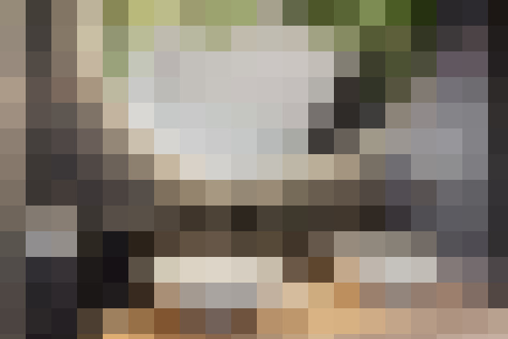  / #20