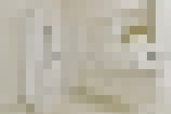  / #23
