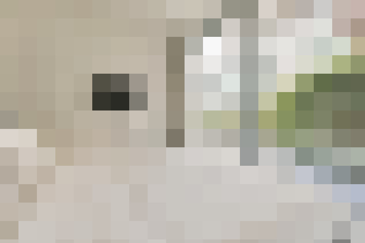  / #16