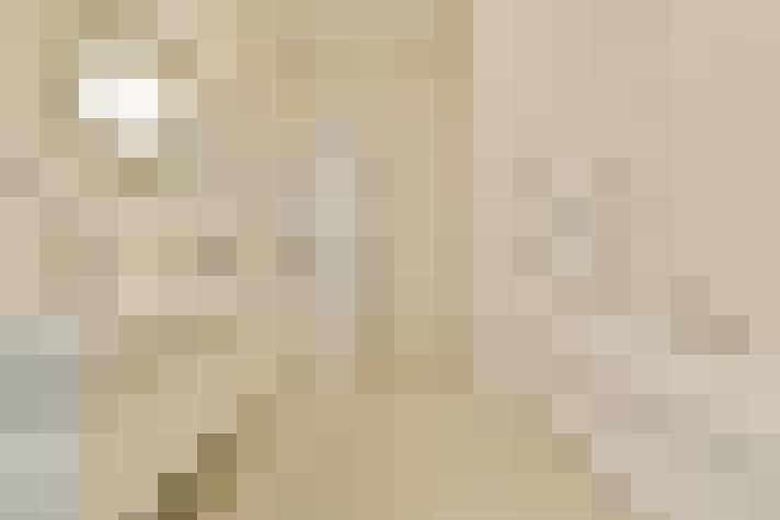  / #17