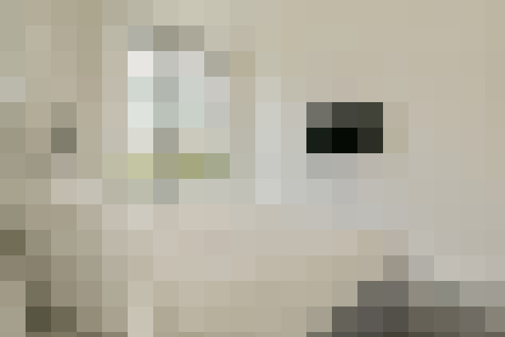  / #21