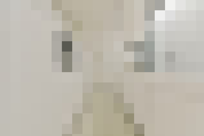  / #11