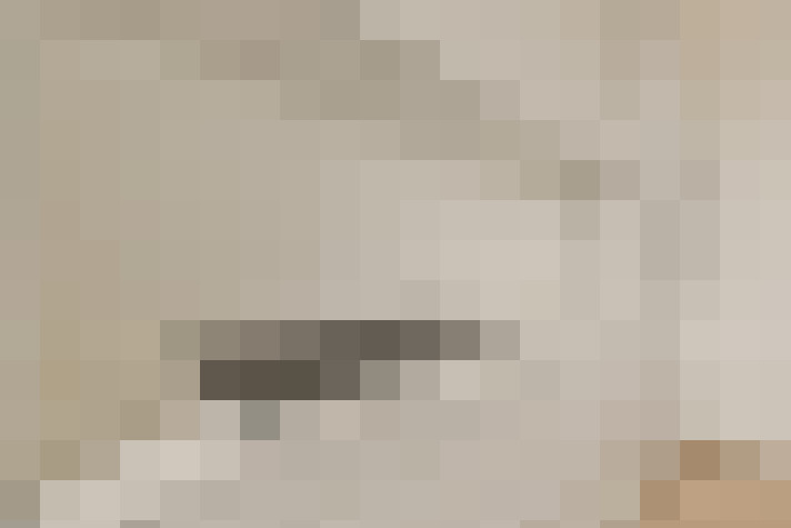  / #21