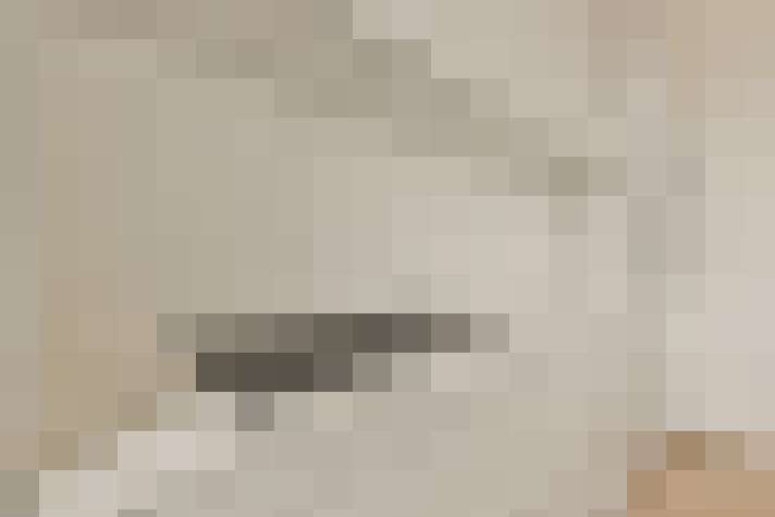  / #22