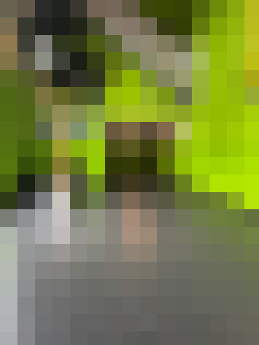  / #12
