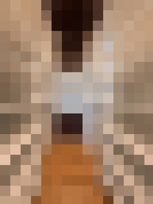 / #21