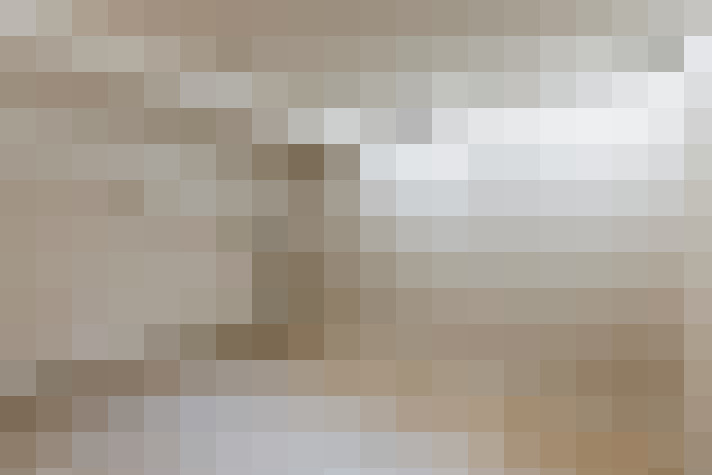  / #19