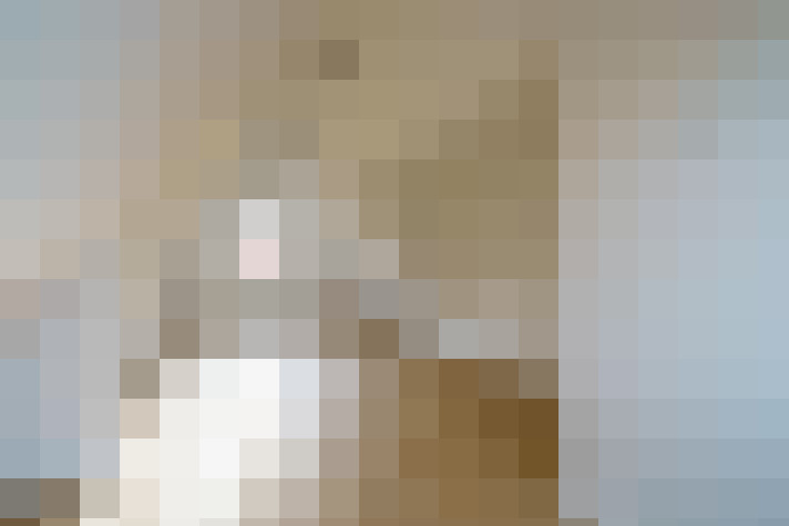  / #22