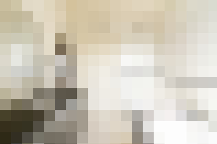  / #15
