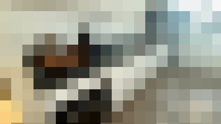  / #8