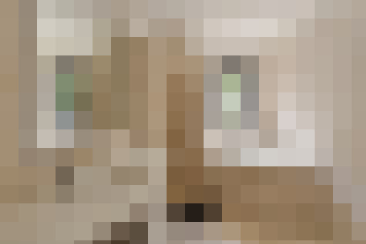  / #16