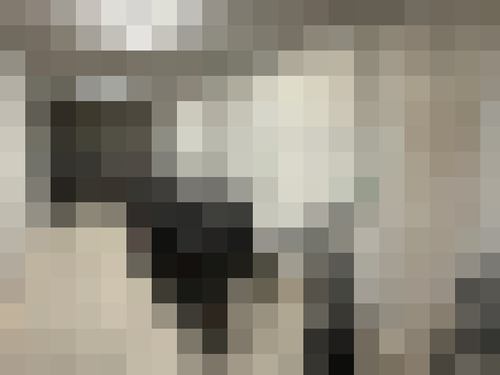  / #15