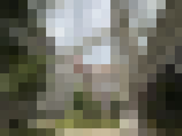  / #66
