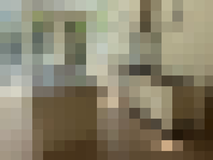 / #16