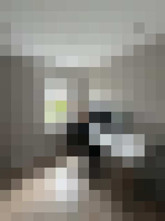 / #13