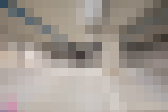  / #7