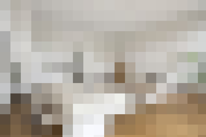  / #19