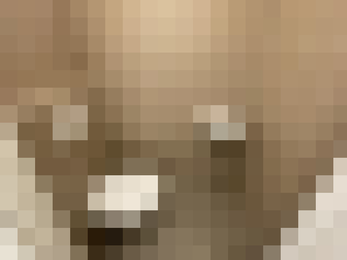  / #14