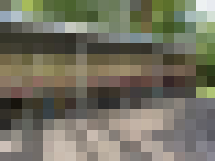  / #20