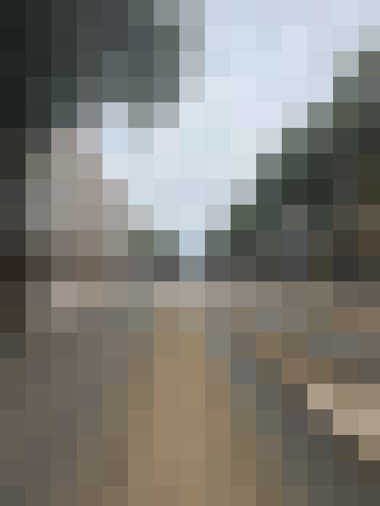  / #15