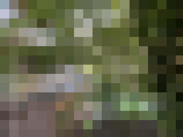  / #18