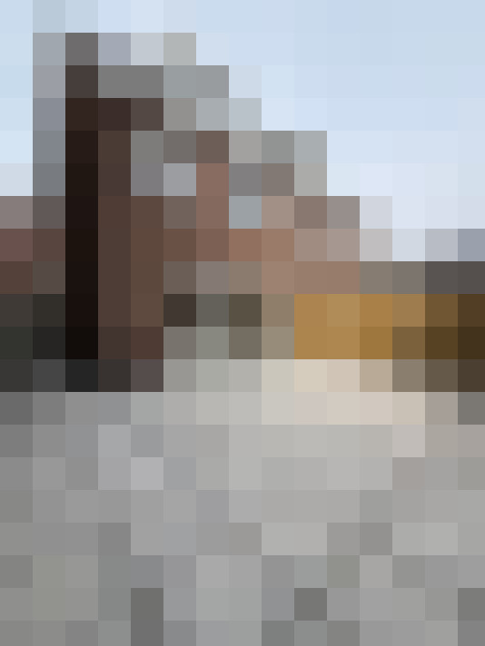  / #16