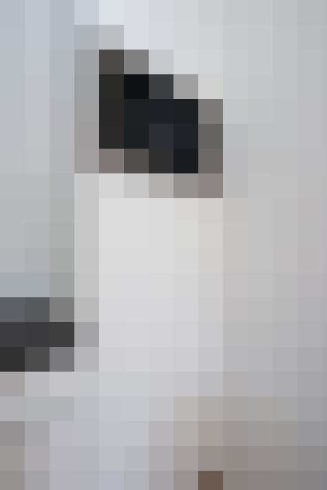  / #15