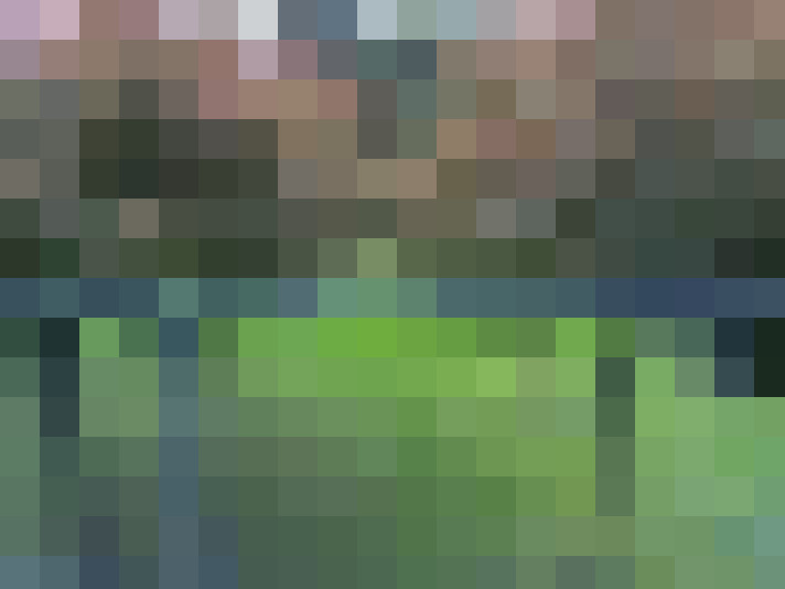  / #15
