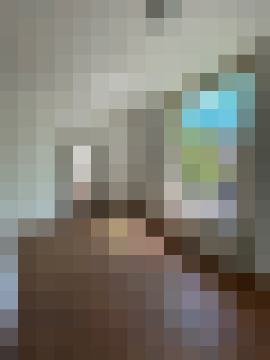  / #13