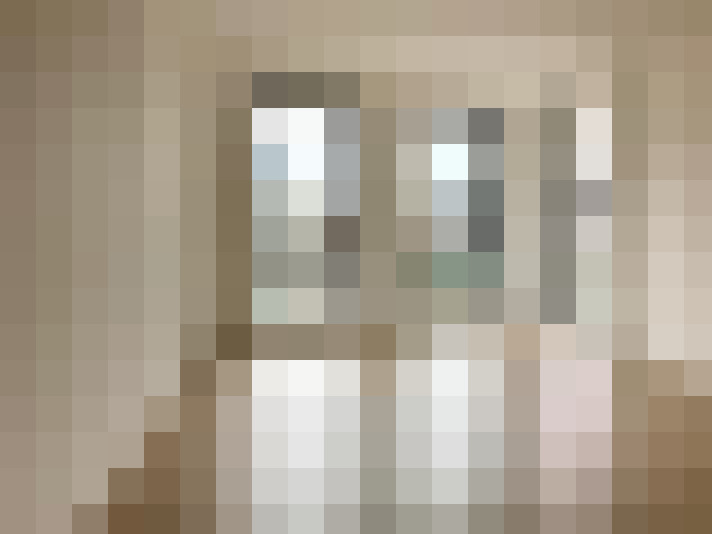  / #19