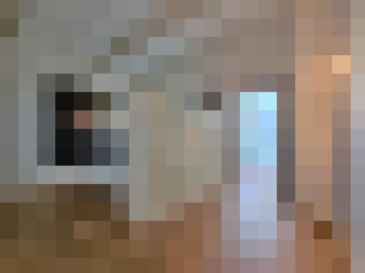  / #17
