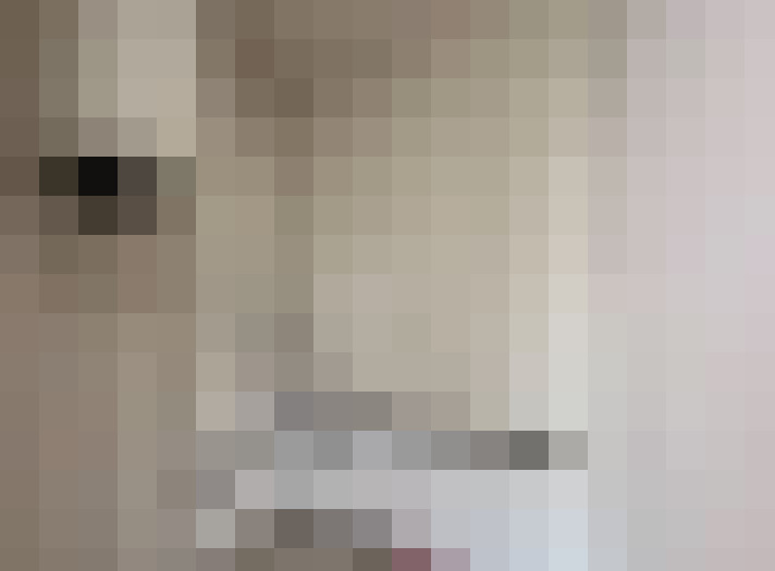  / #17