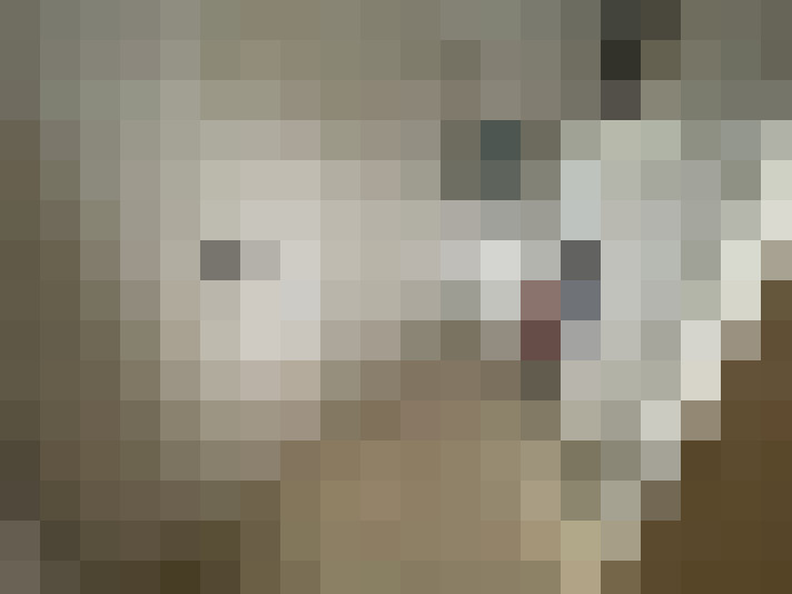  / #7