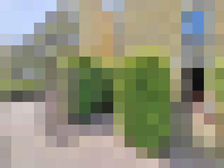  / #16