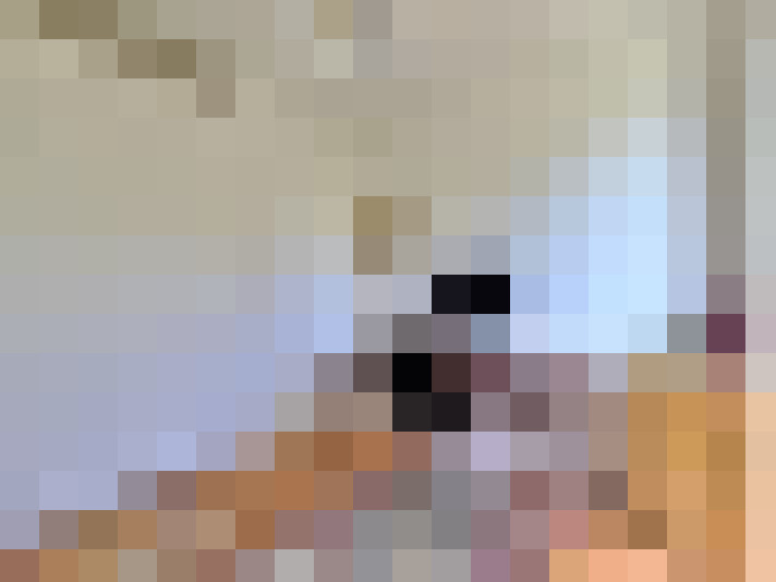 / #33