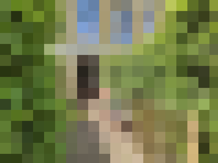  / #19
