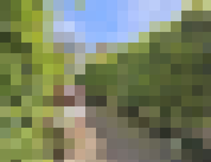  / #15