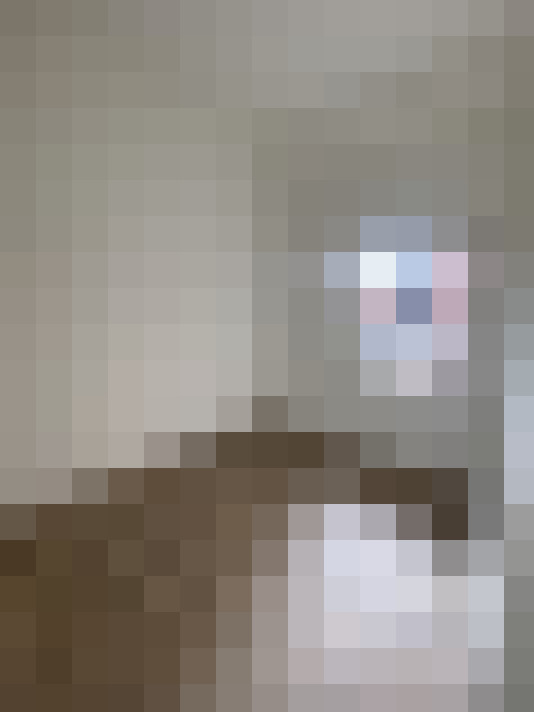  / #11