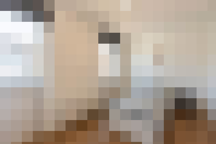  / #23