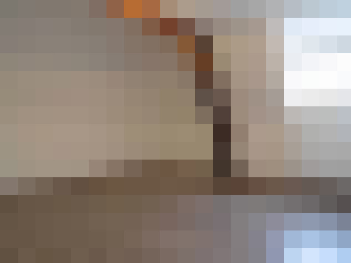  / #16
