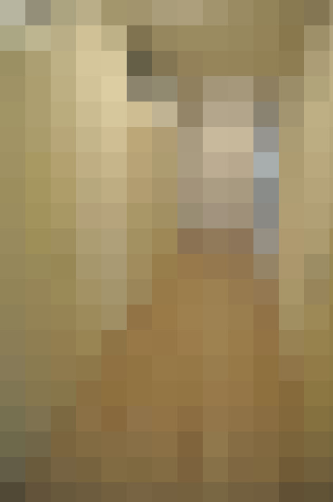  / #14