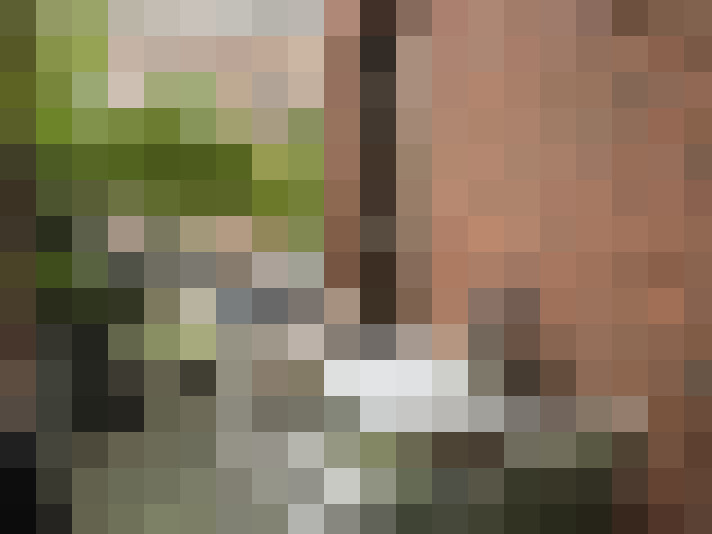  / #15