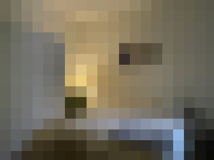  / #11