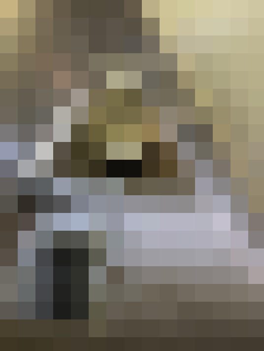  / #11
