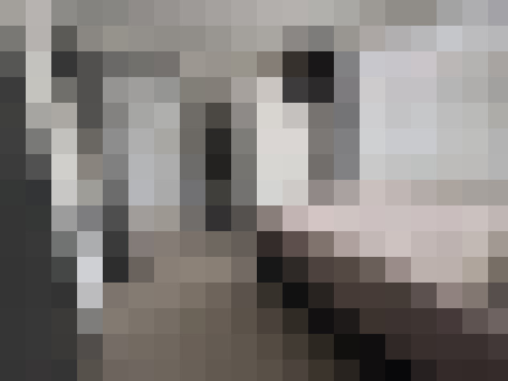  / #17