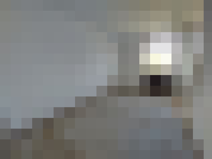  / #26